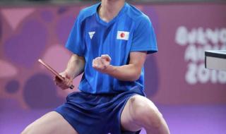 王楚钦对阵张本智和